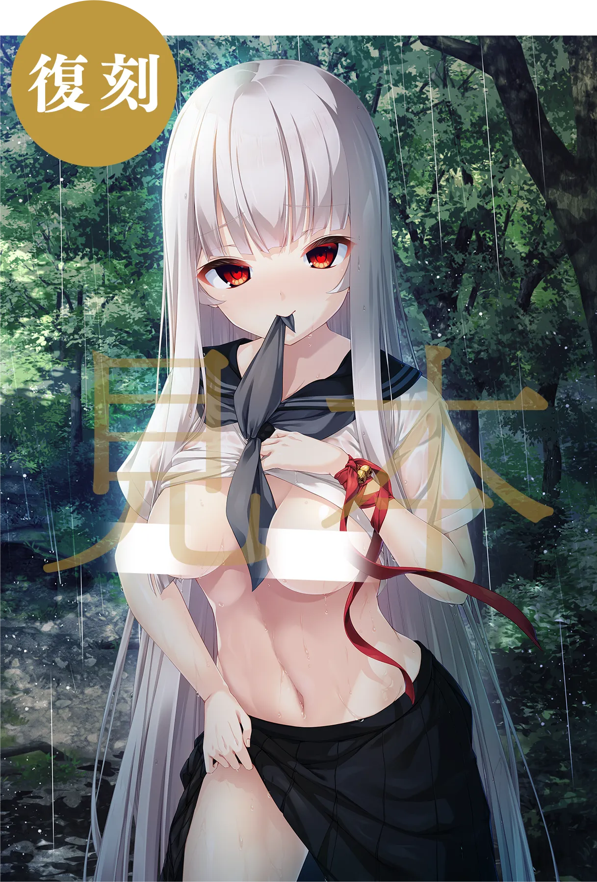 とらのあな様 特典