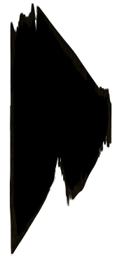 ＣＧ12